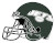 NYJ